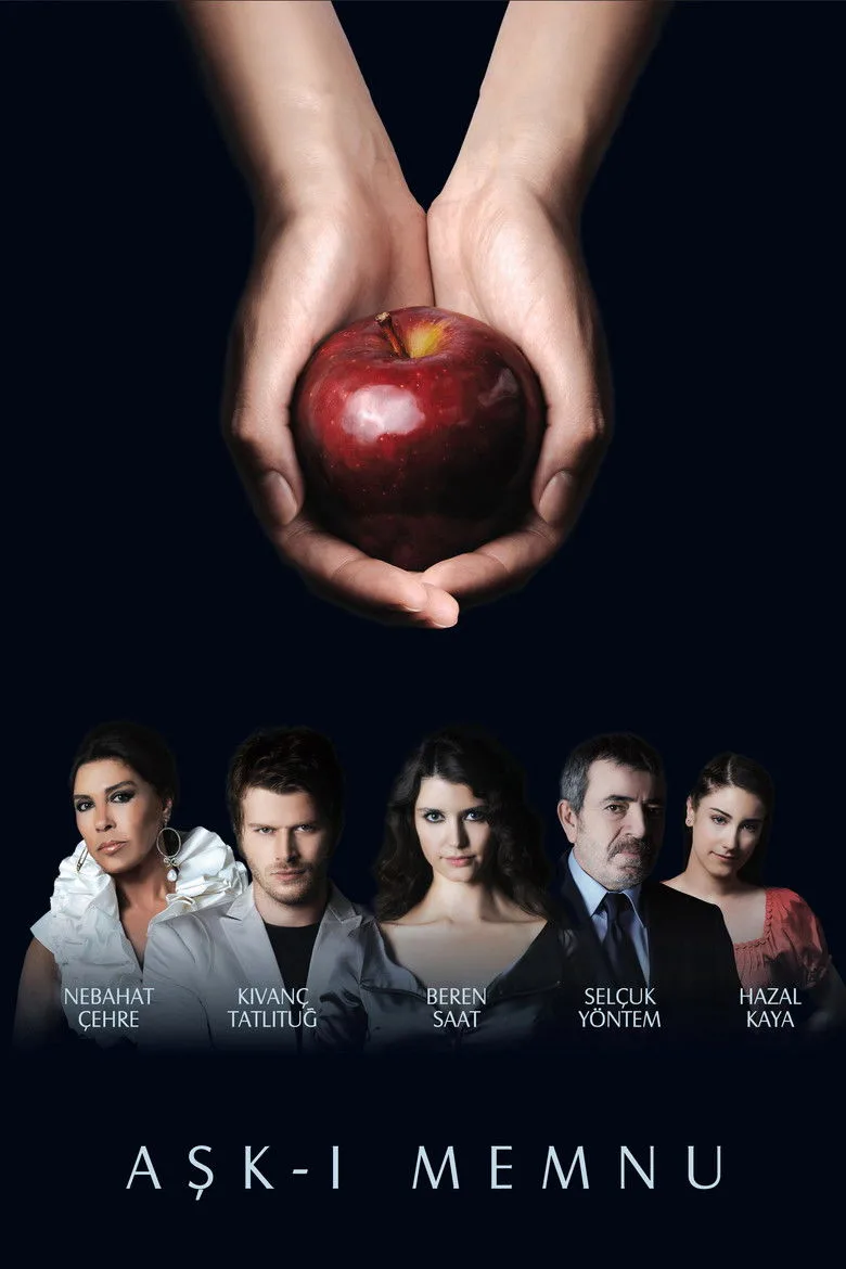 Aşk-ı Memnu Dizi izle